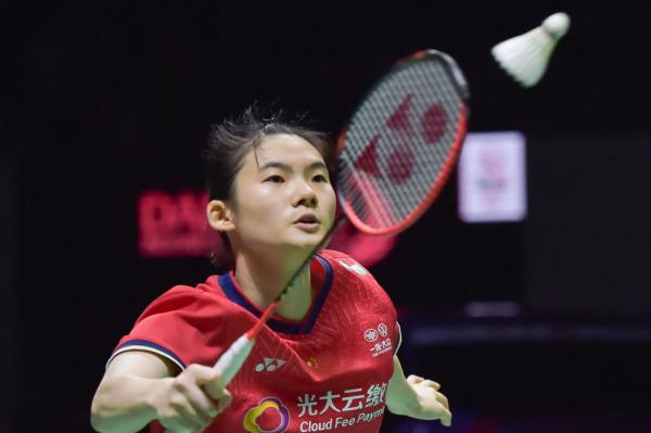 提供了一个 提供了一个