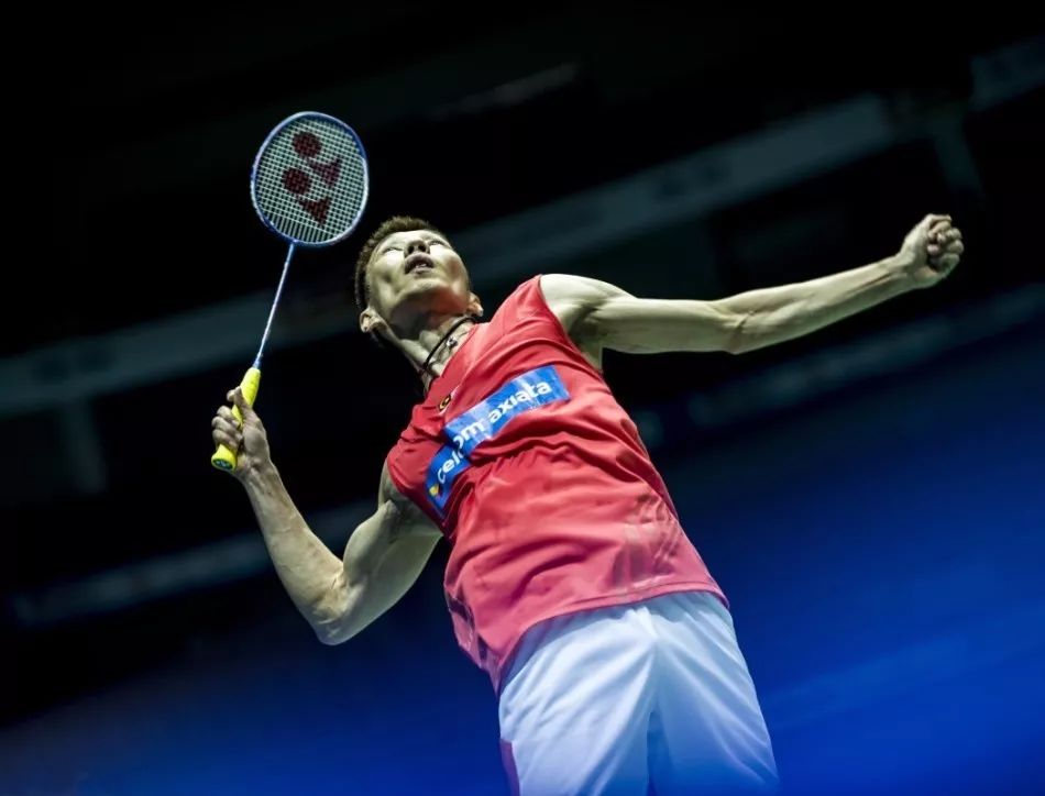 样的历史分 样的历史分