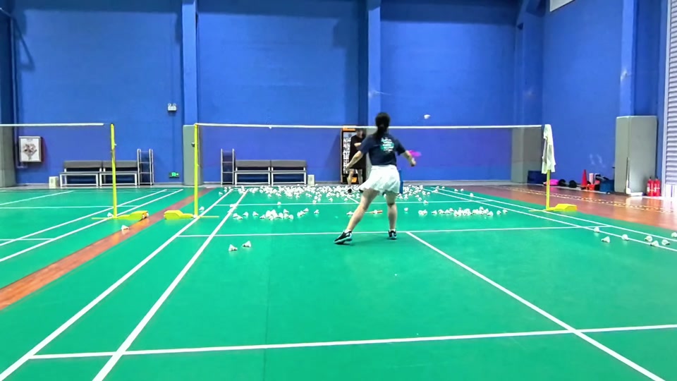 术优势与潜 术优势与潜