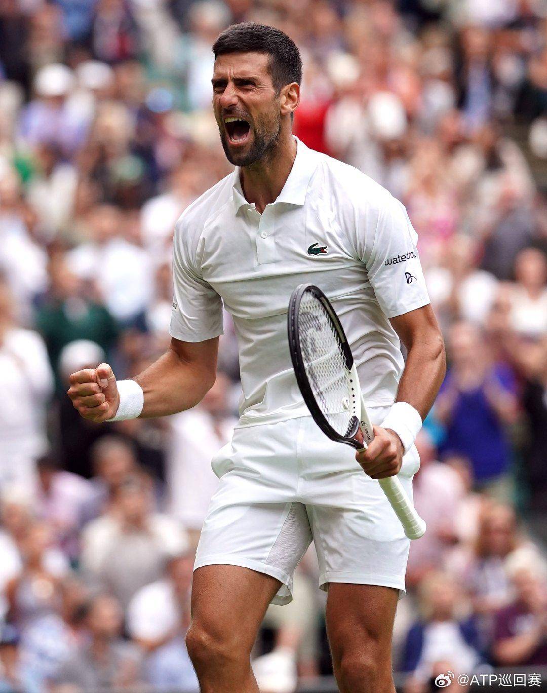 信赖与支持 信赖与支持