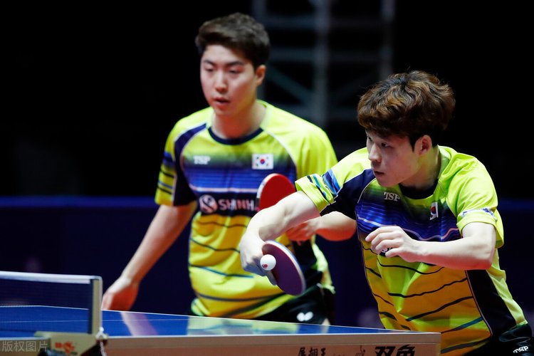 体育泰山队 体育泰山队