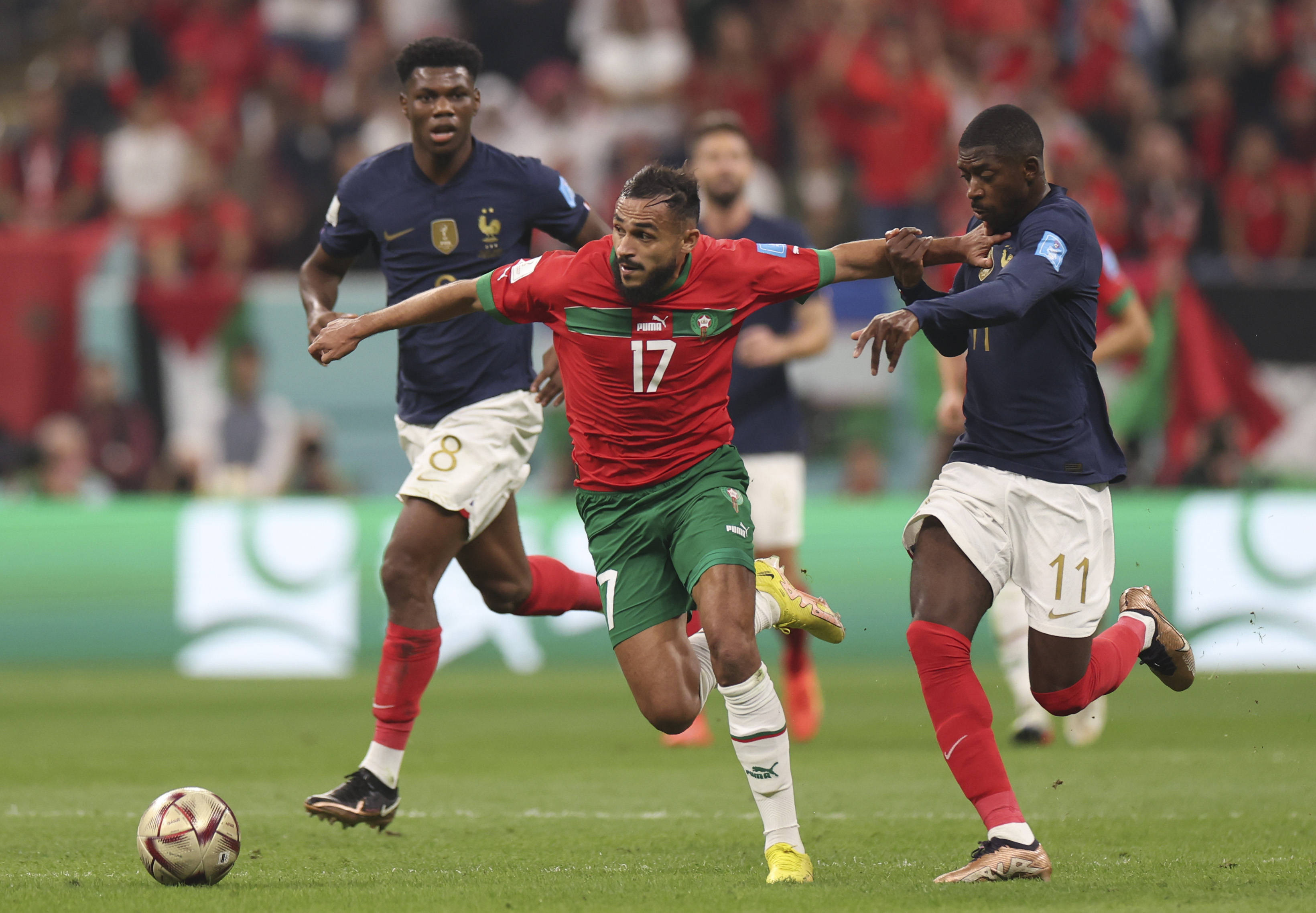 国家冬季运 国家冬季运