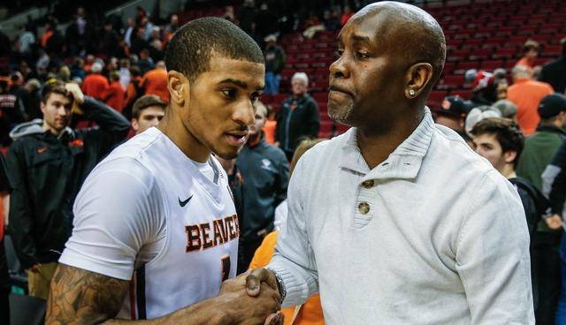 团队动用了 团队动用了